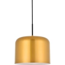 Satin Gold / Black