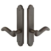 Medium Bronze