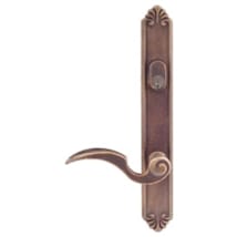 Medium Bronze