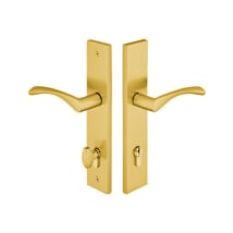 Satin Brass