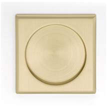 Satin Brass
