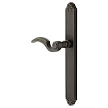 Medium Bronze