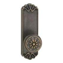 Medium Bronze