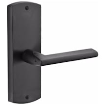 Flat Black Bronze