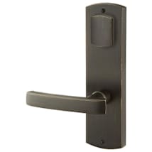 Medium Bronze