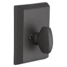 Flat Black Bronze