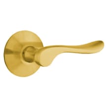 Satin Brass