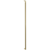 Satin Brass / Satin Brass Stem