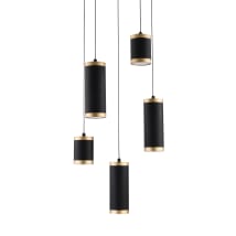 Black / Gold