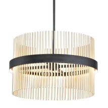 Black / Satin Brass