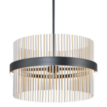 Black / Satin Nickel / Satin Brass