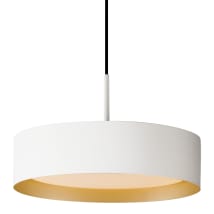 White / Gold