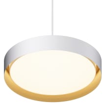 White / Gold