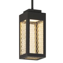 Sand Black / Gold