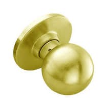 Bright Brass