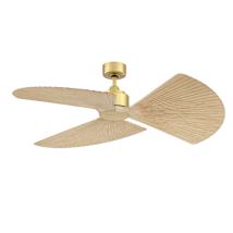 Brushed Satin Brass / Natural