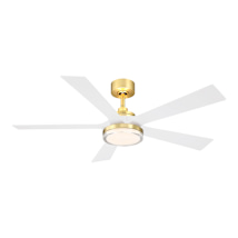 Brushed Satin Brass