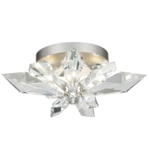 Silver Leaf