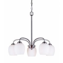 Brushed Nickel