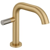 Brushed Gold / Brushed Nickel