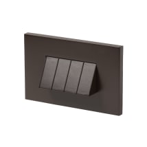 Painted Antique Bronze