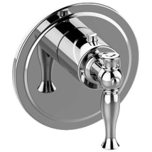 Polished Chrome