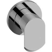Polished Chrome