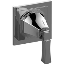 Polished Chrome
