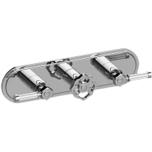 Polished Chrome