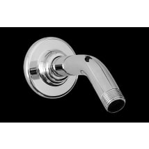 Polished Chrome
