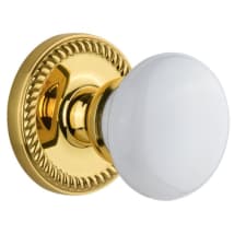 Polished Brass