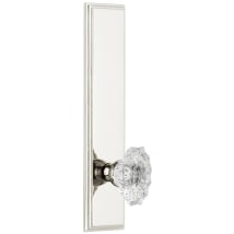 Polished Nickel