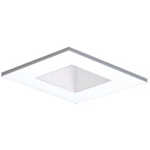 White Trim / White Baffle