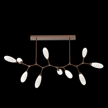 Burnished Bronze / Frosted
