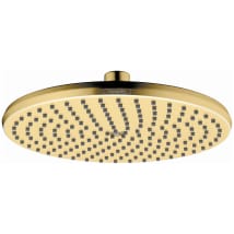 Brushed Gold Optic