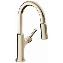 Polished Nickel