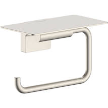 Brushed Nickel