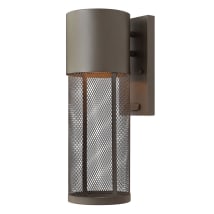 Buckeye Bronze