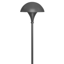 Charcoal Gray