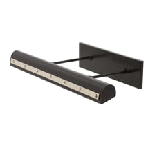 Black / Polished Nickel Accents