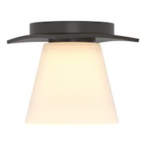 Oil Rubbed Bronze / White