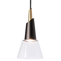 Oil Rubbed Bronze / Clear