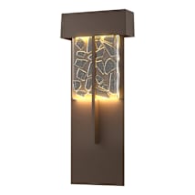 Coastal Bronze / Clear