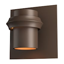 Coastal Bronze