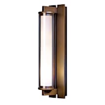 Coastal Bronze / Clear