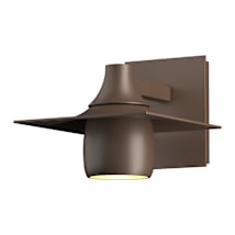Coastal Bronze