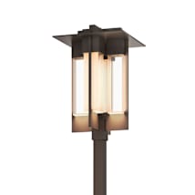 Coastal Bronze / Clear