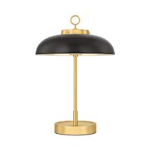 Aged Brass / Distressed Bronze