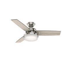 Brushed Nickel