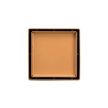 Polished Brass